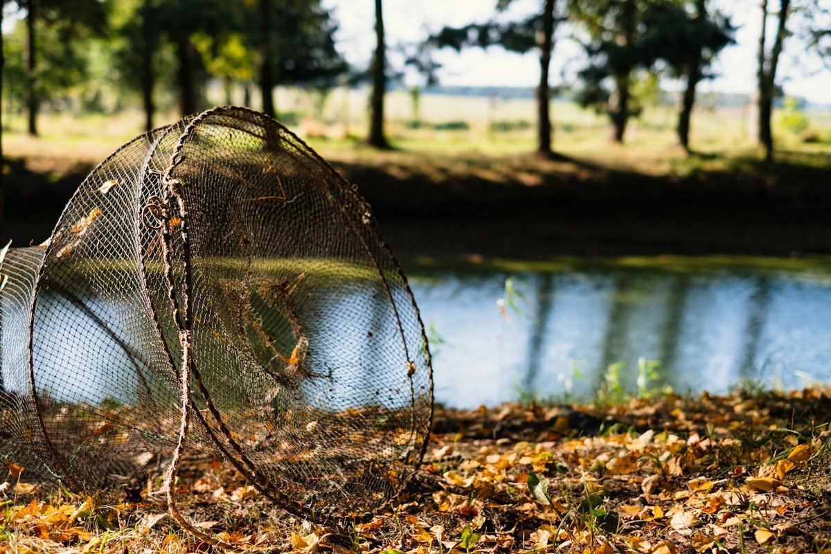 Kescher mit Netz am Ufer eines kleinen Teichs zwischen Laub